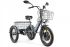 Электротрицикл Green City e-Alfa Trike (500W 48V)